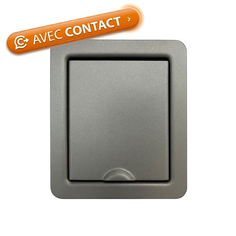 Prise en acier inoxydable plate - gris